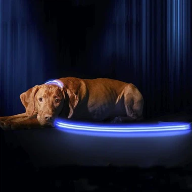 LED povodec za pse